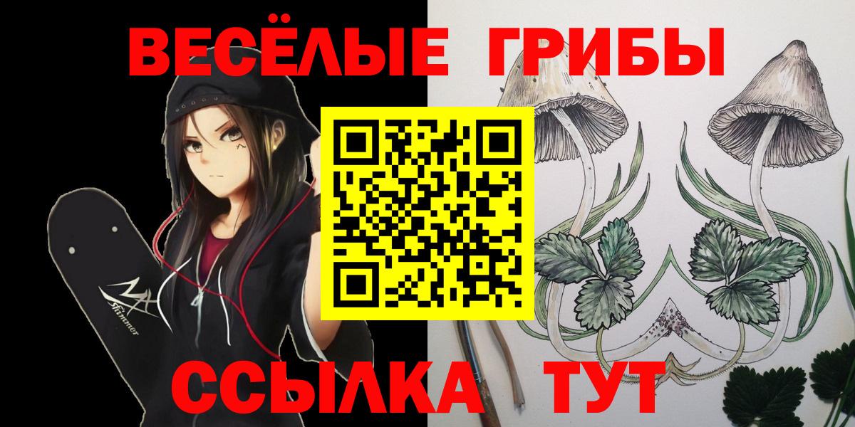 Галлюциногенные грибы MAGIC MUSHROOMS  Галлюциногенные грибы прущие грибы  Куйбышев  Вход с VPN 